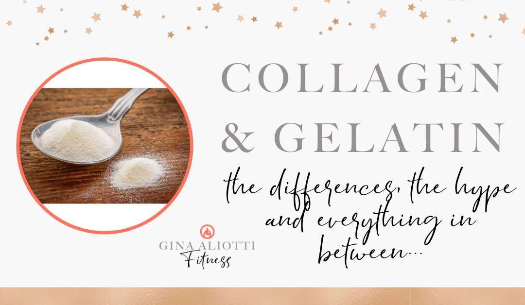 Gelatin Vs. Collagen 101